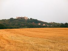 Halič