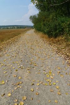 Od letiska do Poľova