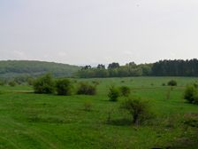 Pri Ladislavovej vyvieračke