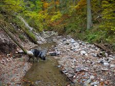 Certova dolina - zaver