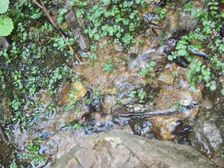 Vodný prameň pod Salatínom