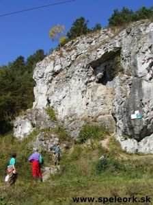 Liskova cave