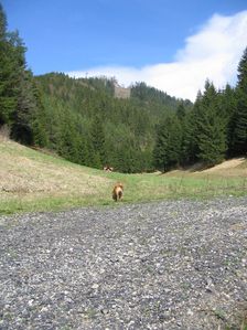 Kalamická dolina - Čudkovo smerom na hrad