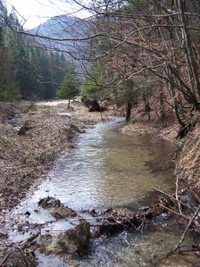 Čudkovská dolina