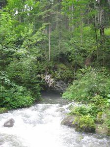 Hlbokô - vyvieračka 