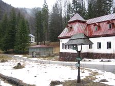 Korytnica