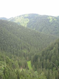 Pohľad od skál na vstup do Hučiakov 