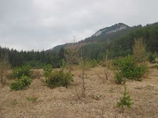 Výstup po chodníku na Pravnáč