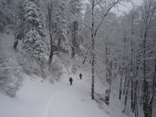 V zime pod Šiprúnom na lyžiach