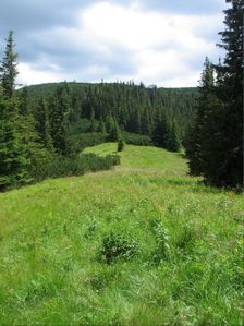 Velka Koniarka - Hola v zavere Lubelskej doliny Šusvald - smerom na Opruzlie 1620 m.n.m.