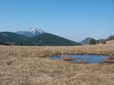 Močarisko na Dankovej