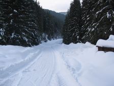 Krížska dolina v zime