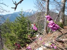 Veľký Choč od vrchola Havranej