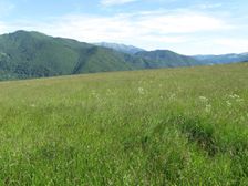Lúky nad Jaziercemi smerom na Nízke Tatry
