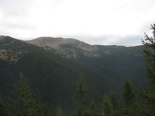 Chabenec od Prašivého vrchu (1426m.n.m.)