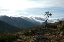 Spalena 1701 m.n.m. - smerom na Mestku horu