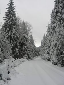 Zimná cesta v Krížskej doline 20.12.2008