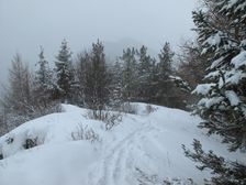 Hrebeň pod vrcholom Ostrého