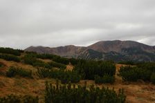 Chabenec od hole Bôru