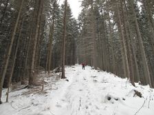 Stúpanie po žltej turistickej značke do sedla Teplica na Ostré