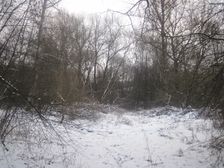 Turícky lúh v zime