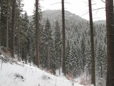 Ostrô od Ludrovskej doliny