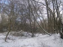 Turícky lúh v zime