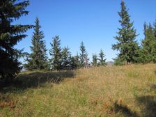 Hola na vrchole Tlstej smerom na Salatin