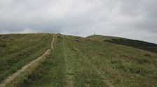 Krizna