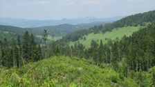 Pieniny od Jazerského jazera