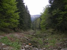Pustá dolina v Korytnici