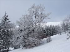 Donovaly - na starej zjazdovke