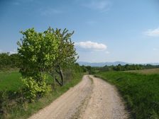 Silická planina