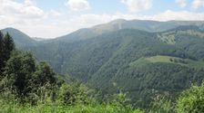 Zvolen od Fedorky