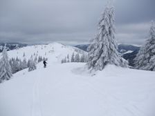 Na hreneni Zvolena v zime