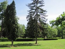 Kaštiel - park - Mojmírovce