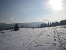 Vrchol Lupcianskej Magury