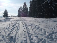 Zima na Lupcianskej Magure