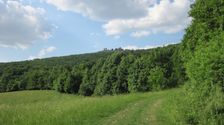 Hrad Pajstun od Borinky