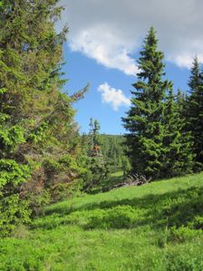 Lubelska hola - Velka Koniarka