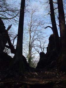 Pri chodniku na Pusty hrad