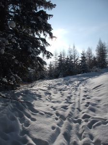 Cesta v zime na Lupciansku Maguru