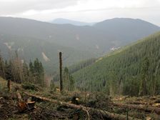 Krizska dolina od Prasiveho