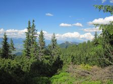 Ľubelská hoľa - do Ľubelskej - Šucvald