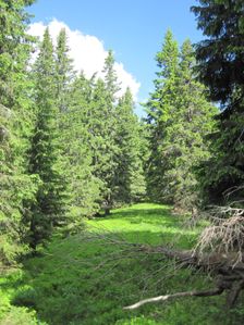 Lubelska hola - Velka Koniarka