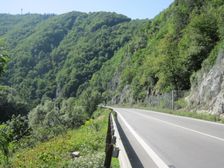 Cesta v tiesňave Strečno