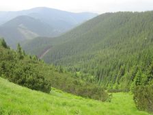 Klacianska dolina od  cez Kozieho gruna 