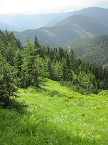 Klacianska dolina od Kozieho gruna