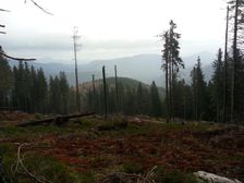 Rubanisko na Latiborskej