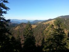 Smrekovica od Skalnej Alpy